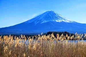 Mt. Fuji Tour: Lake Kawaguchiko Ropeway,Matcha,Oshino Hakkai