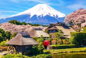 Mt. Fuji Tour: Lake Kawaguchiko Ropeway,Matcha,Oshino Hakkai