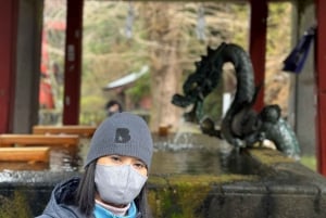 MT.Fuji: Mount Fuji Private day Tour English Speaking Driver