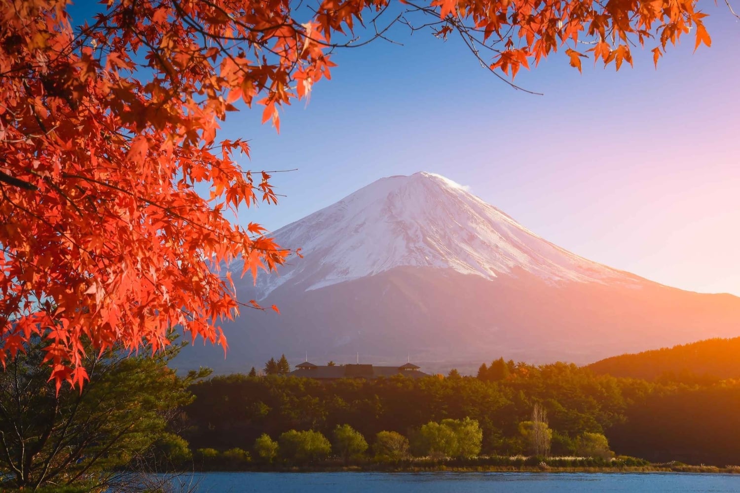 Monte Fuji: tour de 1 día privado con guía