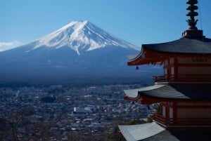Monte Fuji: tour de 1 día privado con guía
