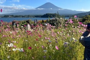 Monte Fuji: tour de 1 día privado con guía