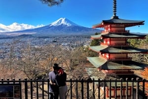 Monte Fuji: tour de 1 día privado con guía