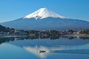 Monte Fuji: tour de 1 día privado con guía