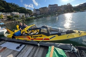 Monte Fuji: tour de 1 día privado con guía