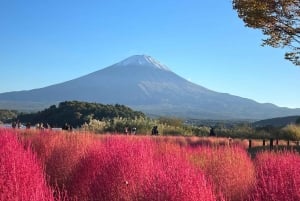 Monte Fuji: tour de 1 día privado con guía