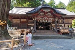 Monte Fuji: tour de 1 día privado con guía