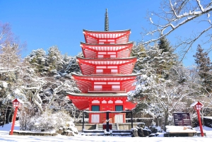 Monte Fuji: tour de 1 día privado con guía