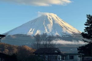 Monte Fuji: tour de 1 día privado con guía