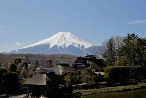 Monte Fuji: tour de 1 día privado con guía