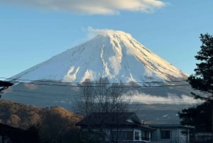 Monte Fuji: tour de 1 día privado con guía