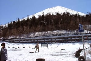 Monte Fuji: tour de 1 día privado con guía