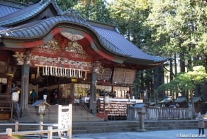 Monte Fuji: tour de 1 día privado con guía