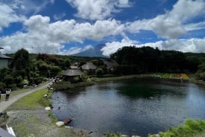 Monte Fuji: tour de 1 día privado con guía