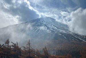 Monte Fuji: tour de 1 día privado con guía
