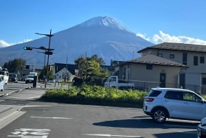 Monte Fuji: tour de 1 día privado con guía
