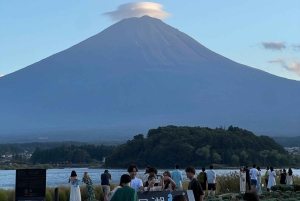 Monte Fuji: tour de 1 día privado con guía