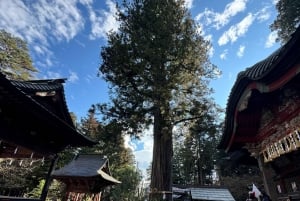 Monte Fuji: tour de 1 día privado con guía