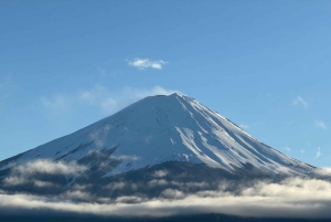 Monte Fuji: tour de 1 día privado con guía