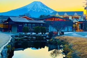 Monte Fuji: tour de 1 día privado con guía