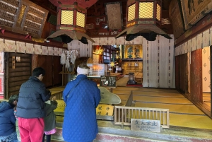 Monte Fuji: tour de 1 día privado con guía