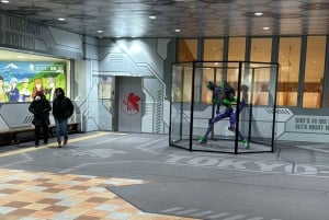 Monte Fuji: tour de 1 día privado con guía