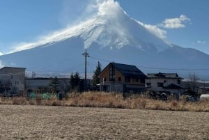 Monte Fuji: tour de 1 día privado con guía