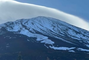 Monte Fuji: tour de 1 día privado con guía