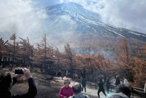 Monte Fuji: tour de 1 día privado con guía