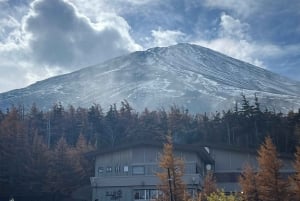 Monte Fuji: tour de 1 día privado con guía