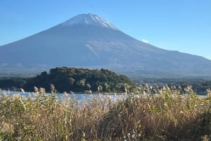 Monte Fuji: tour de 1 día privado con guía