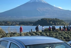 Monte Fuji: tour de 1 día privado con guía