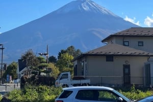 Monte Fuji: tour de 1 día privado con guía