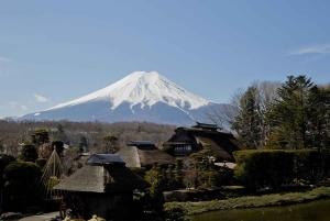 Monte Fuji: tour de 1 día privado con guía