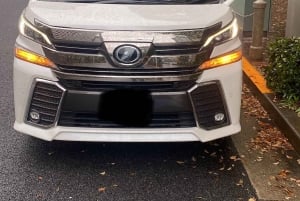 Monte Fuji: tour de 1 día privado con guía