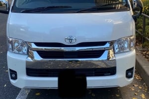 Monte Fuji: tour de 1 día privado con guía