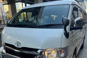 Monte Fuji: tour de 1 día privado con guía