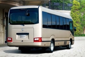 Monte Fuji: tour de 1 día privado con guía