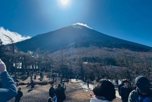 Monte Fuji: tour de 1 día privado con guía