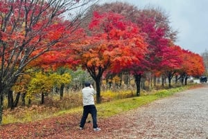 Monte Fuji: tour de 1 día privado con guía