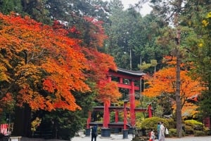 Monte Fuji: tour de 1 día privado con guía