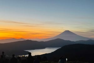 Monte Fuji: tour de 1 día privado con guía