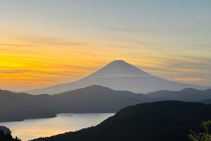 Monte Fuji: tour de 1 día privado con guía