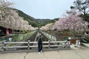 Monte Fuji: tour de 1 día privado con guía