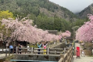 Monte Fuji: tour de 1 día privado con guía