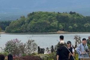 Monte Fuji: tour de 1 día privado con guía