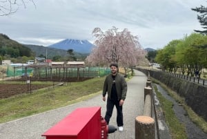 Monte Fuji: tour de 1 día privado con guía