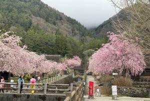 Monte Fuji: tour de 1 día privado con guía