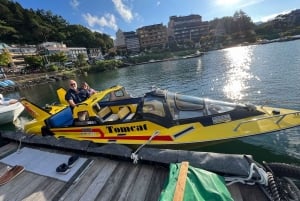 Monte Fuji: tour de 1 día privado con guía