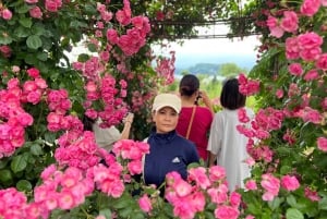 Monte Fuji: tour de 1 día privado con guía